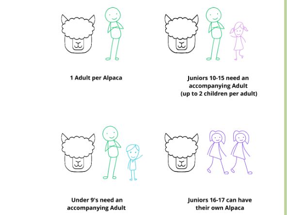 Vallets Farm Barn allocation rules drawn as alpacas and visitors: one adult per alpaca, juniors 10 to 15 with an accompanying adult, under 9s with an accompanying adult, and juniors 16 to 17 with their own alpaca