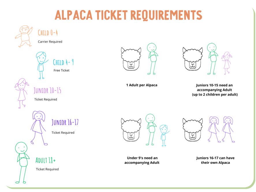 Vallets Farm Barn alpaca ticket requirements by age group, from carrier-only infants to adults with one alpaca each