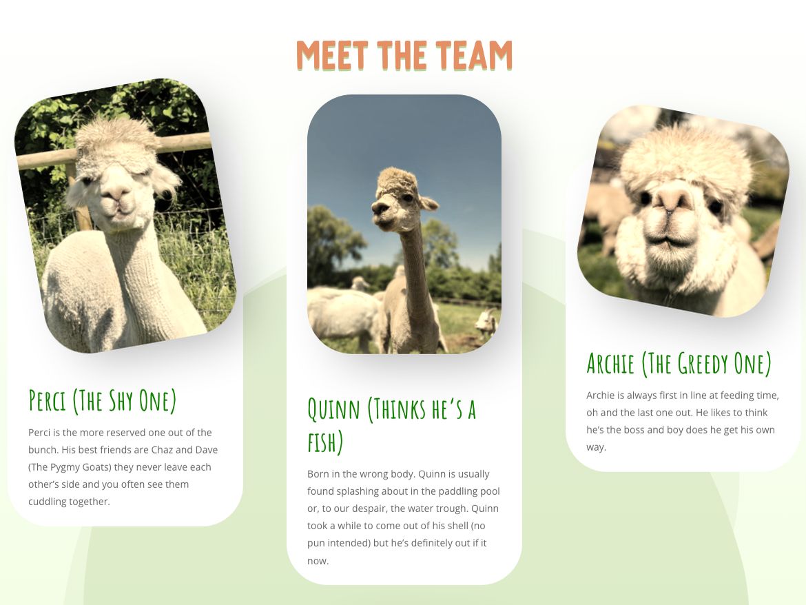 Vallets Farm Barn Meet the Team section with photographs of the farm's alpacas